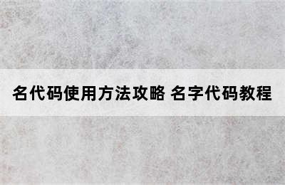 名代码使用方法攻略 名字代码教程